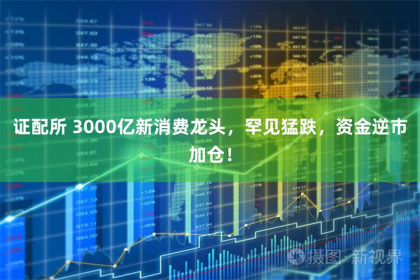 证配所 3000亿新消费龙头，罕见猛跌，资金逆市加仓！
