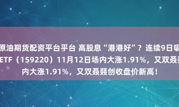 原油期货配资平台平台 高股息“港港好”？连续9日吸金，港股通红利ETF（159220）11月12日场内大涨1.91%，又双叒叕创收盘价新高！