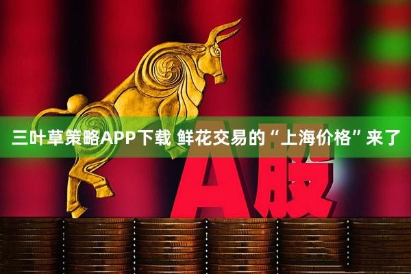 三叶草策略APP下载 鲜花交易的“上海价格”来了