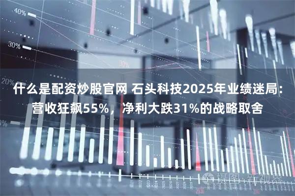 什么是配资炒股官网 石头科技2025年业绩迷局：营收狂飙55%，净利大跌31%的战略取舍